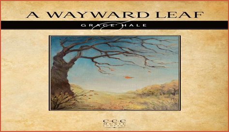 A Journey Into Musical Bliss